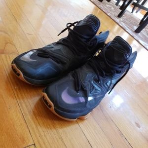 LeBron 13 lions